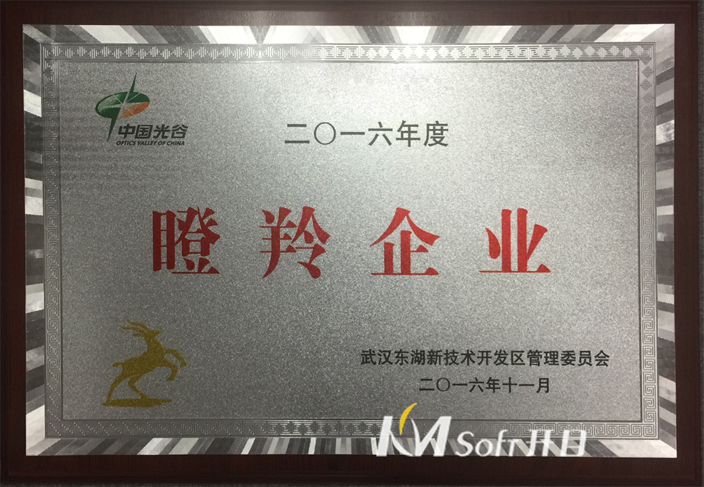 2016年瞪羚企业 奖牌